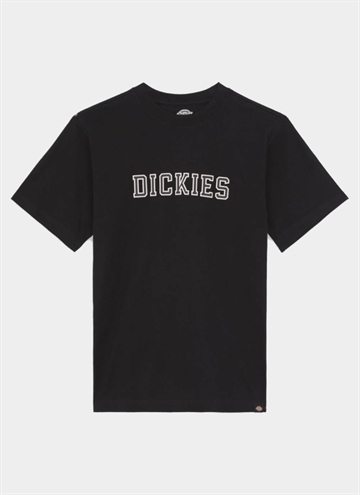 Dickies Melvern T-Shirt